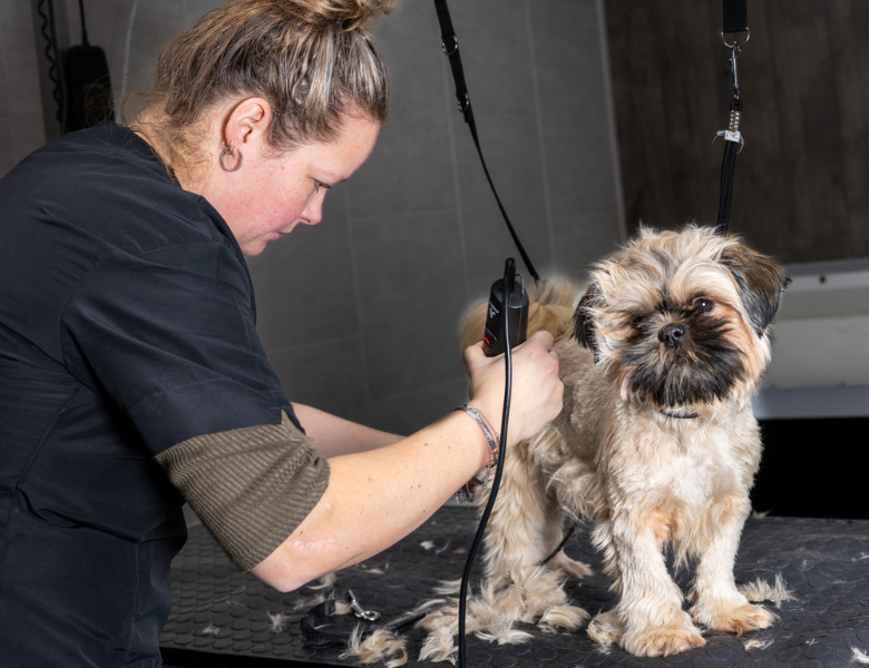 <br />
<b>Warning</b>: Undefined variable $winkel_titel in <b>/home/centruml/domains/centrumlosser.nl/public_html/content_winkel-detail.php</b> on line <b>13</b><br />